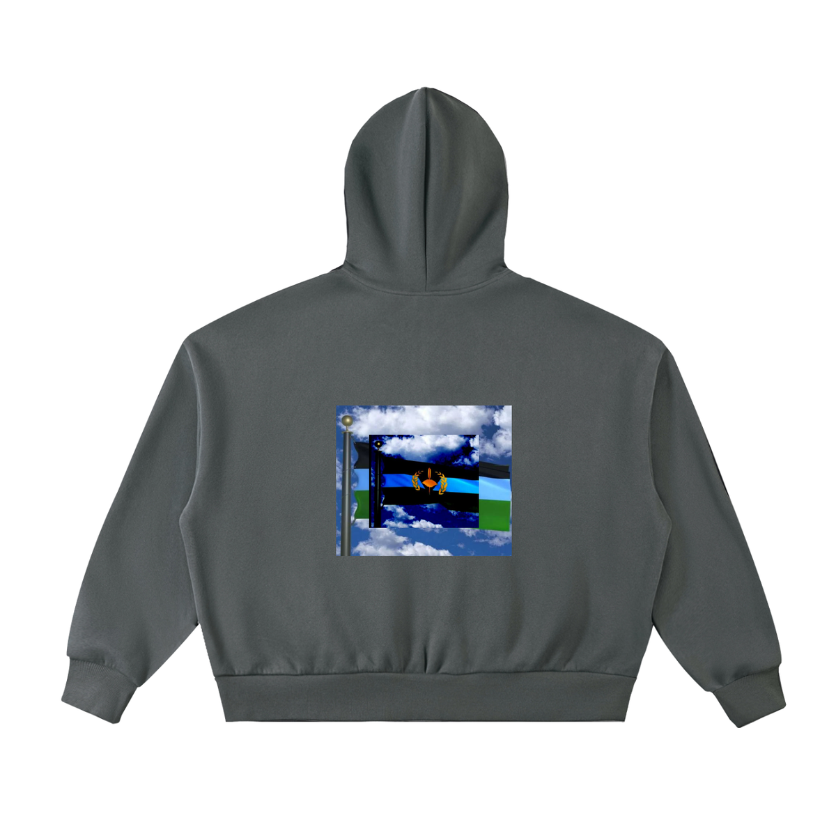 Fleeced Full-Zip Boxy Hoodie (Geechee flag)