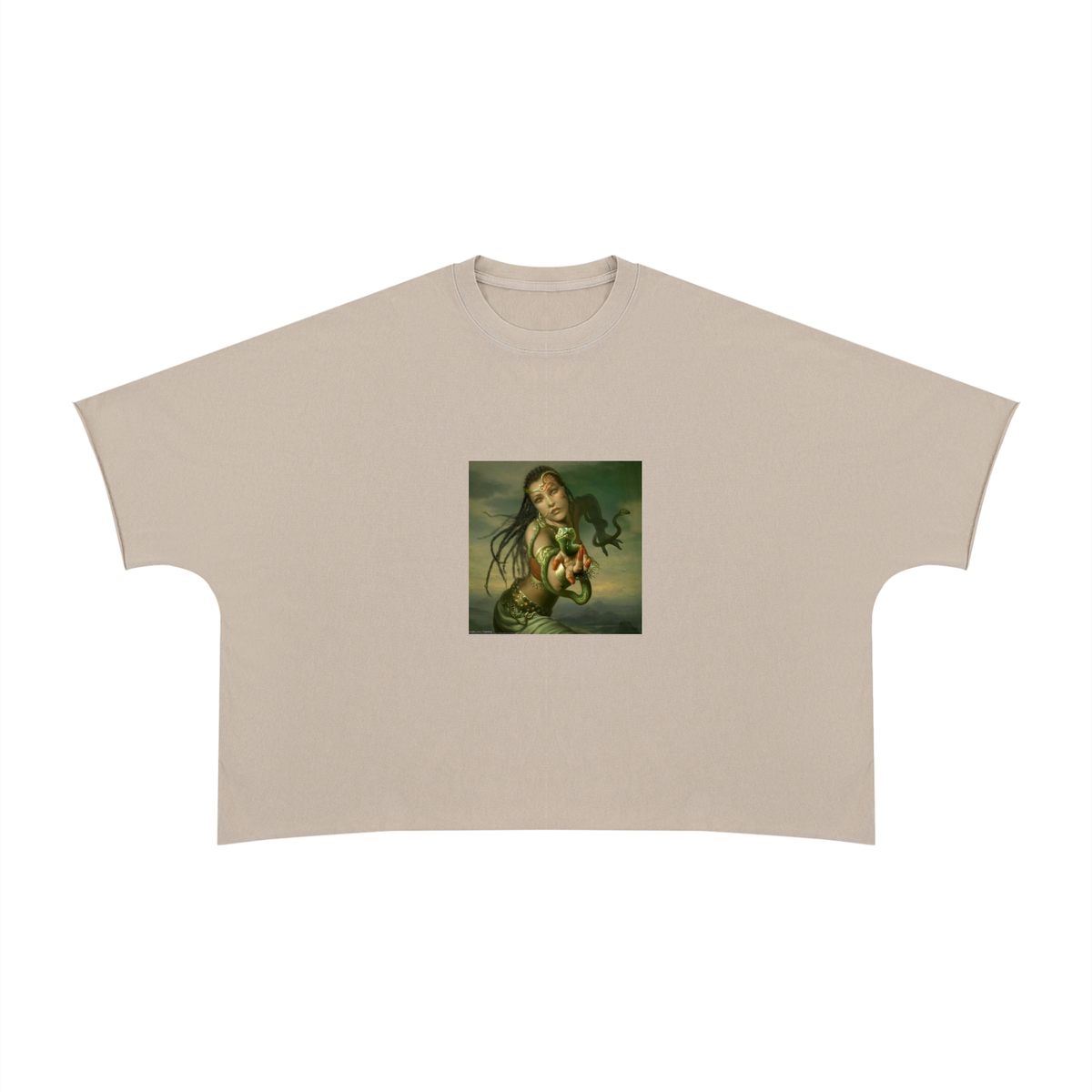 Unisex Heavyweight Boxy Raw Edge T-Shirt (Snake women)